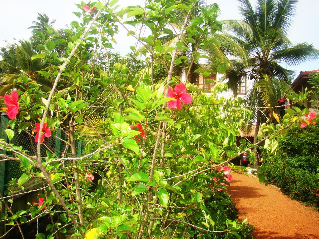 Bentota Homes ภายนอก รูปภาพ