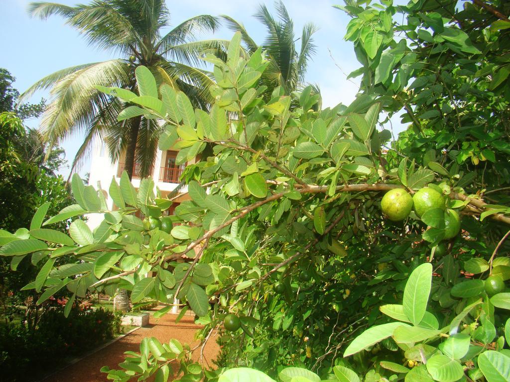 Bentota Homes ภายนอก รูปภาพ